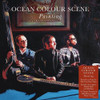 OCEAN COLOUR SCENE - PAINTING VINYL LP