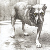 ALICE IN CHAINS - ALICE IN CHAINS CD