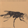 SOUNDS OF INSECTS / VARIOUS - SOUNDS OF INSECTS / VARIOUS CD