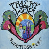 TRICKY WOO - SOMETIMES I CRY VINYL LP