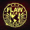 FLAW - DIVIDED WE FALL CD