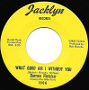 FLETCHER,DARROW - WHAT GOOD AM I WITHOUT YOU / THAT CERTAIN LITTLE 7"