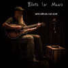 SEASICK STEVE - BLUES IN MONO CD