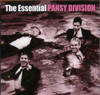 PANSY DIVISION - ESSENTIAL PANSY DIVISION CD