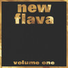 NEW FLAVA VOL. 1 / VARIOUS - NEW FLAVA VOL. 1 / VARIOUS VINYL LP