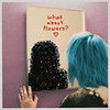 SNARLS - WHAT ABOUT FLOWERS CD