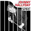 HALLYDAY,JOHNNY - SPIRIT OF JOHNNY HALLYDAY VINYL LP