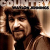 JENNINGS,WAYLON - COUNTRY CD