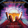 LIQUID TRIO EXPERIMENT - SPONTANEOUS COMBUSTION (DIGIPAK) CD