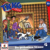 TKKG JUNIOR - FOLGE 20: DIE GESTOHLENE STIMME CD