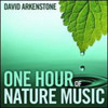 ARKENSTONE,DAVID - ONE HOUR OF NATURE MUSIC CD