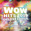 WOW HITS 2019 / VARIOUS - WOW HITS 2019 / VARIOUS CD