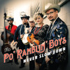 PO' RAMBLIN BOYS - NEVER SLOW DOWN VINYL LP