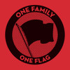 ONE FAMILY. ONE FLAG / VARIOUS - ONE FAMILY. ONE FLAG / VARIOUS VINYL LP