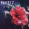 PABZZZ - AFTER THE RAIN VINYL LP