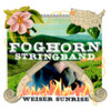 FOGHORN STRINGBAND - WEISER SUNRISE CD