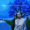 HOOVERPHONIC - MAGNIFICENT TREE CD