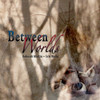 MARTIN,DEBORAH / WOLLO,ERIK - BETWEEN WORLDS CD