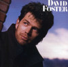 FOSTER,DAVID - DAVID FOSTER CD