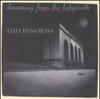 HINOJOSA,TISH - DREAMING FROM THE LABYRINTH CD