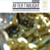 AFTER TWILIGHT / VARIOUS - AFTER TWILIGHT / VARIOUS CD