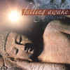 KIRTANA - FALLING AWAKE CD