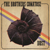 BROTHERS COMATOSE - DUST VINYL LP