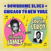 HOMESICK JAMES MEETS COUSIN LEROY - DOWNHOME BLUES FROM CHICAGO TO NEW YORK CD