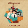 LAFONTAINES - JUNIOR VINYL LP