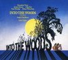 INTO THE WOODS / O.C.R. - INTO THE WOODS / O.C.R. CD