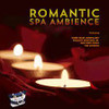 ROMANTIC SPA AMBIENCE / VARIOUS - ROMANTIC SPA AMBIENCE / VARIOUS CD