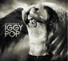 POP,IGGY - MANY FACES OF IGGY POP CD