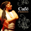 CAFE FLAMENCO / VARIOUS - CAFE FLAMENCO / VARIOUS CD