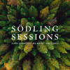 GUNNARSSON / MARINE / QUARTEY - SODLING SESSIONS CD