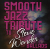 SMOOTH JAZZ TRIBUTE - SMOOTH JAZZ TRIBUTE TO STEVIE WONDER CD