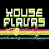 HOUSE FLAVAS / VAR - HOUSE FLAVAS / VAR CD