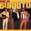 BURRITO BROTHERS - BEST OF CD