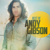 GIBSON,ANDY - BEST OF CD