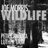 MORRIS,JOE - WILDLIFE CD