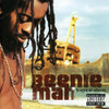 BEENIE MAN - TROPICAL STORM CD