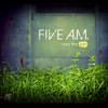 FIVE A.M. - RAISE THE SUN CD