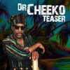 DR. CHEEKO - TEASER CD