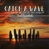 CATCH A WAVE / VAR - CATCH A WAVE / VAR CD
