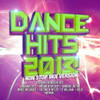 DANCE HITS 2013 NON STOP MIX VERSION - DANCE HITS 2013 NON STOP MIX VERSION CD