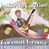 IN THE NICK OF TIME - COCONUT GROOVE CD