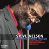 NELSON,STEVE - BROTHERS UNDER THE SUN CD