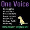 ONE VOICE / VARIOUS - ONE VOICE / VARIOUS 12"