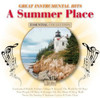 SUMMER PLACE: GREAT INSTRUMENTAL HITS / VARIOUS - SUMMER PLACE: GREAT INSTRUMENTAL HITS / VARIOUS CD