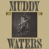 WATERS,MUDDY - KING BEE CD