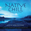 ARKENSTONE,DAVID - NATIVE CHILL: SPIRITS CALLING A NATIVE AMERICAN CD